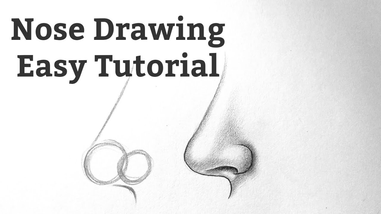 Cartoon Nose Drawing - How To Draw A Cartoon Nose Step By Step