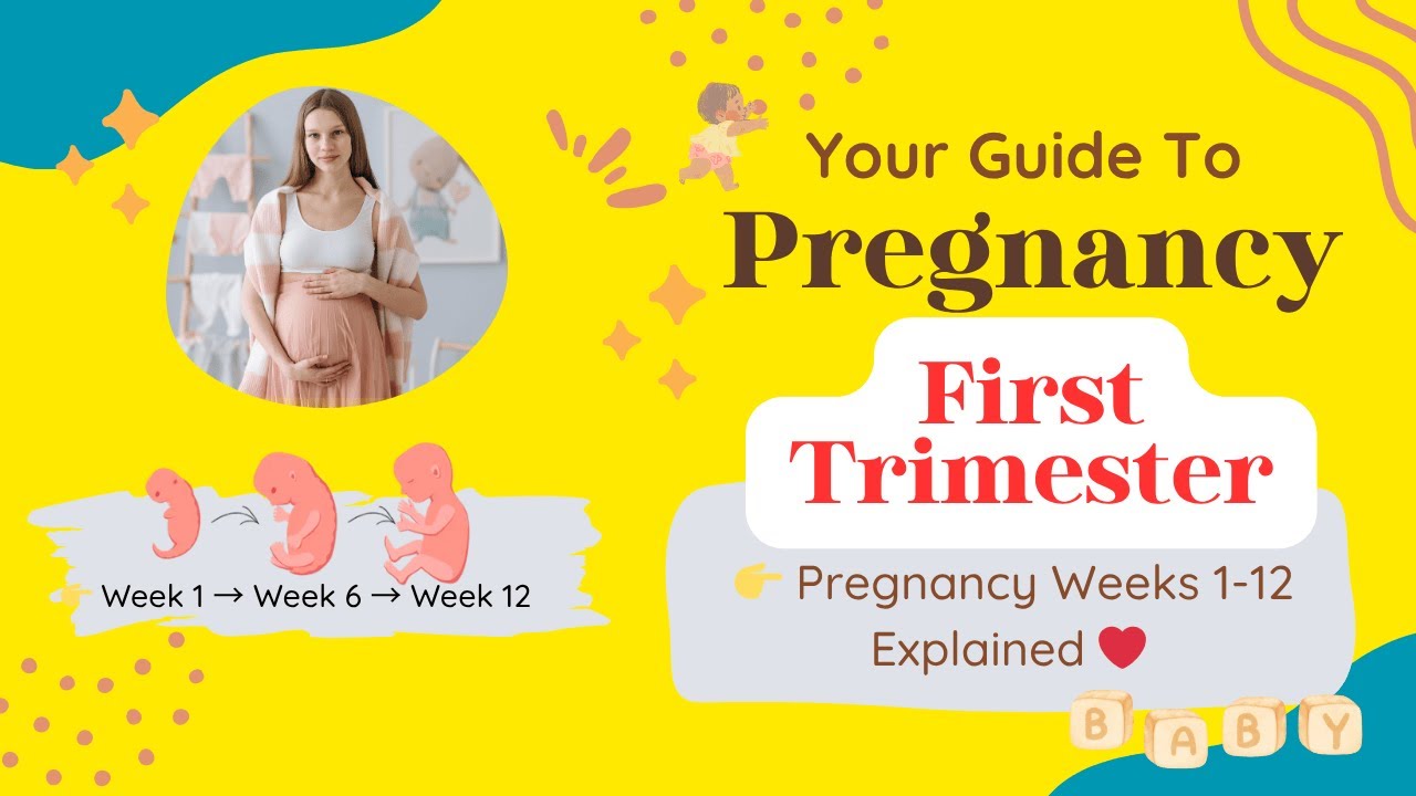 Your Baby's First 12 Weeks: Complete Trimester Breakdown - YouTube