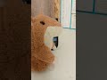 ПЕНАЛ #meme #cat #юмор #прикол #youtubeshorts #funny #я #мем #мемы #memes #mem #хочуврек #shorts