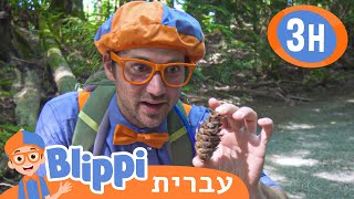 *Beach Clean Up* | טלוויזיה לילדים | בדוק את זה! תסתכל על זה! BLIPPI