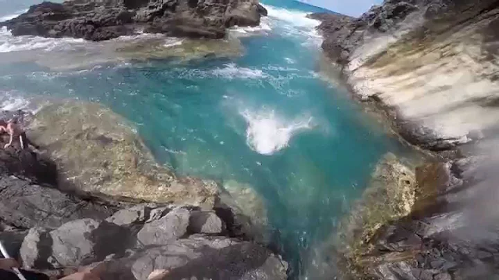 Hawaii Too Fly- Holmbergs Hang Loose