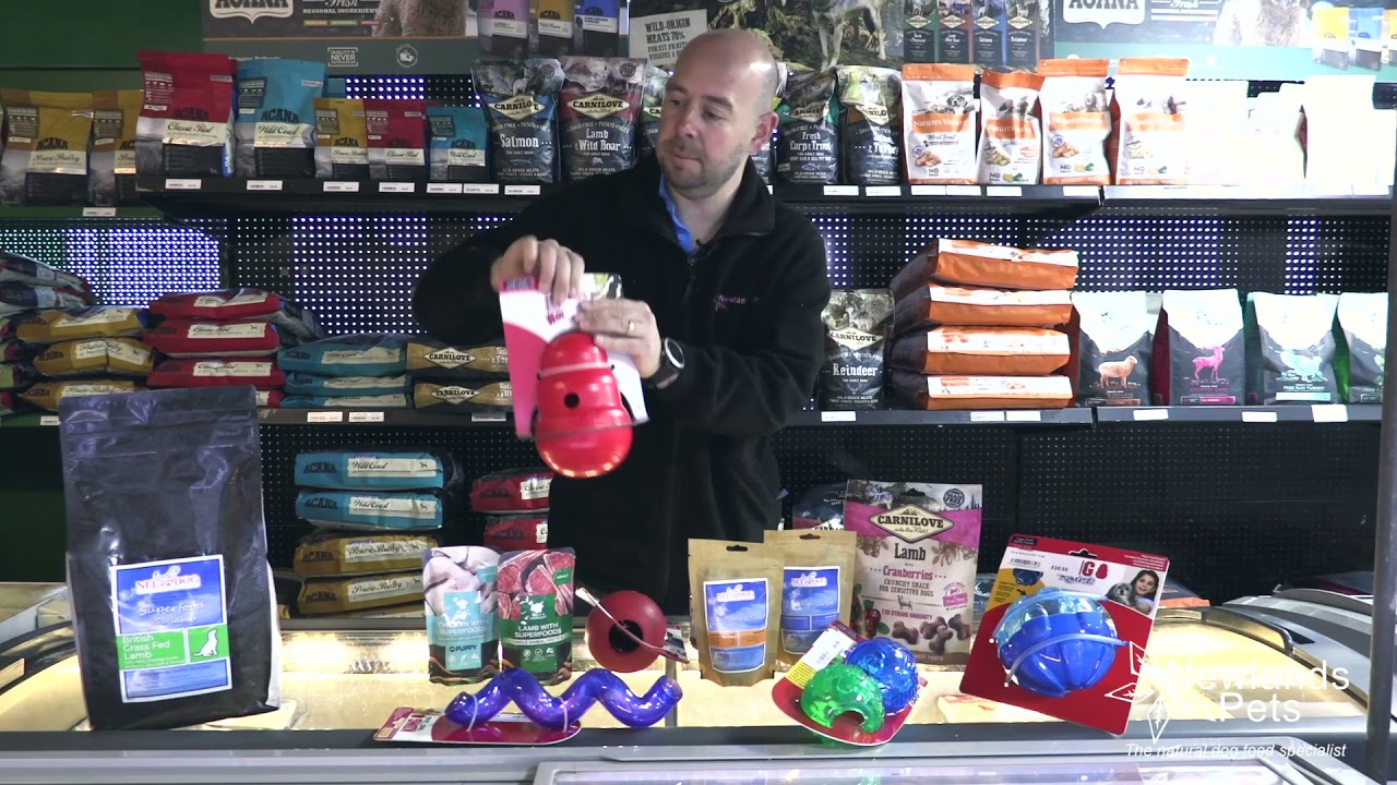 Toys to keep your dog mentally stimulated Newlands Pets YouTube