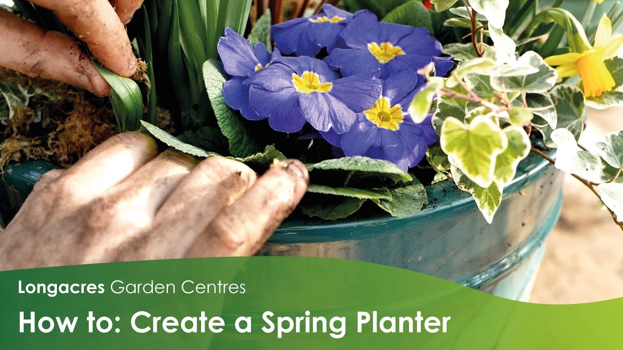 Longacres Garden Centre Opening Hours Fasci Garden