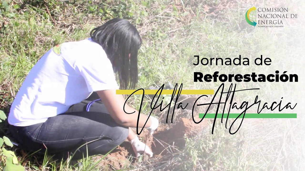 Jornada de Reforestación 2020 CNE