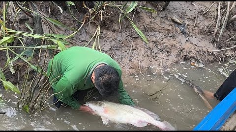 Lộc Bà Cậu Cho Hàng Khủng Hốt Thêm Ổ Tôm Cá Bự Hôm Nay Tới Công Chuyện Luôn | Cù Lao Dung Vlogs