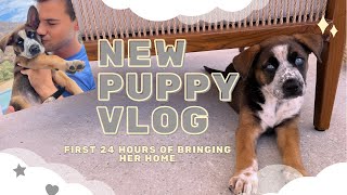 NEW PUPPY VLOG // first 24 hours