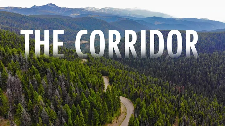 THE CORRIDOR: Driving the Only Road in 3.5 Million...