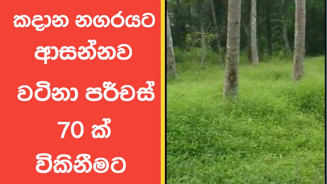 land for sale in kandana, sinhala 8 / කදාන නගරයට ආසන්නව වටින ඉඩමක්