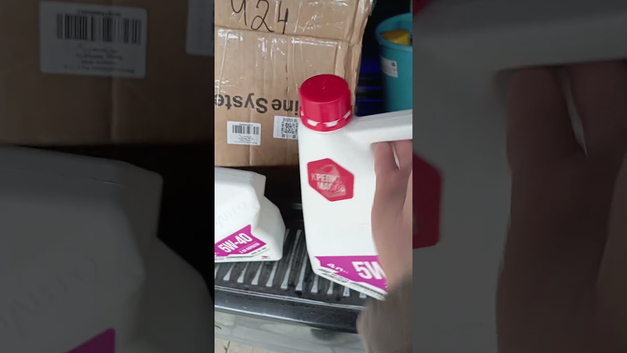 23 августа 2024 г.