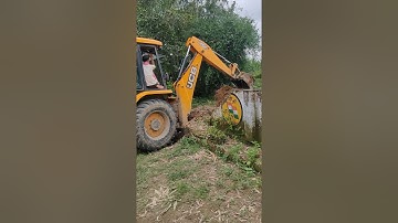 JCB uprooting bamboo roots