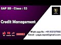 Sap sd class 53 credit management  yours yuga sap sd