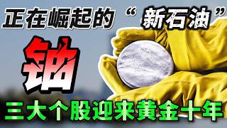 铀:2068正在崛起的“新石油”，AI和能源安全的下一个核心战场！三大个股迎来黄金十年，必看！   CCJ ，LEU ，NXE ，AI #数据中心 #能源危机 #价值投资