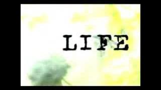 Everything - Tim Hughes