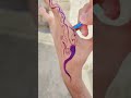 subscribe please Target 1k ❤️ 🔥 signature tattoo collection #hand #art #tattoo #viral #tutorial