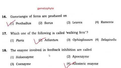BHU M.Sc. Botany (2018) entrance MCQ