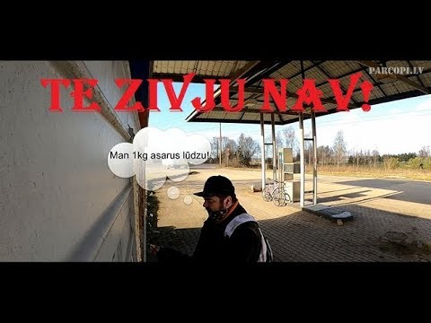 Video: Zivju Rinda