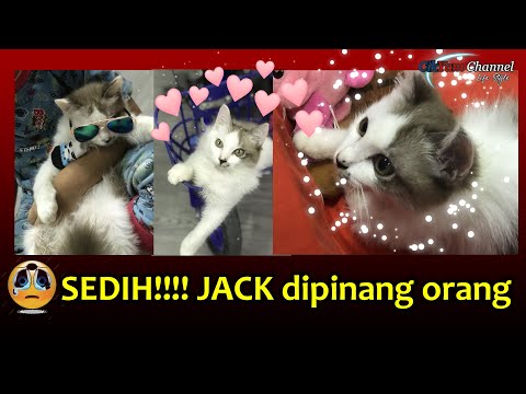 Sedih sangat!!!!! Jack dah di pinang orang