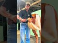 #asmr #farrier #hoofcare #satisfying #hooftrimming #hoofcleaning #hoofpicking #hoofgp #cowhoof