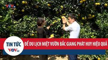 Du lịch miệt vườn Bắc Giang cần làm gì để thực sự “cất cánh”?