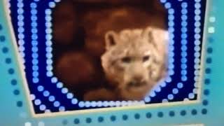 Pbs Kids Idzoboomafoo 2003