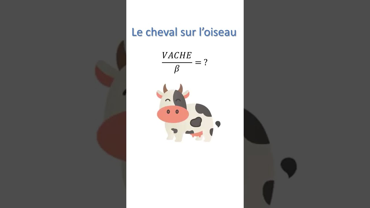 Le R Sultat Est INCROYABLE O 