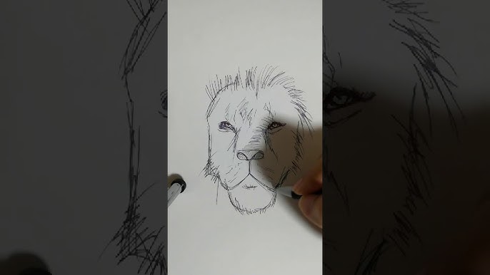 イラストの描き方 ペンギンの親子 Youtube