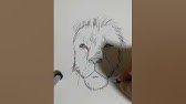 How To Draw Realistic Lion Youtube