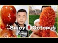 ASMR Amazing Spicy Octopus Eating Show Compilation #15- 문어/たこ/ปลาหมึก/Bạchtuộc/章鱼/Chinese Food