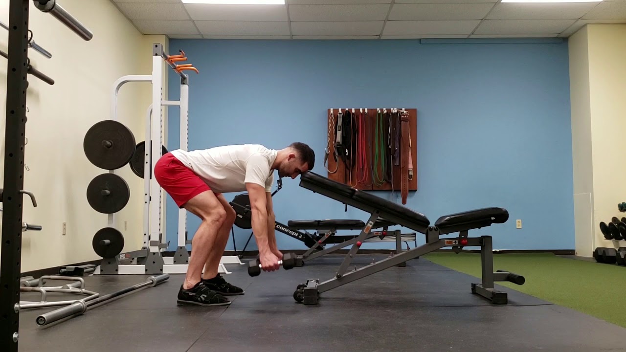 Head supported reverse fly: With dumbbells - YouTube