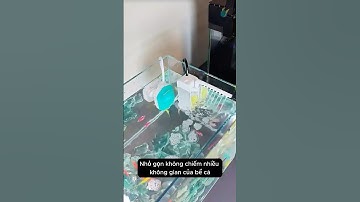 Multi-purpose mini filter for small fish tanks keeps water clear #aquarium #youtubeshorts