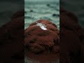 THE DAY MARS DIED #interesting #science #story
