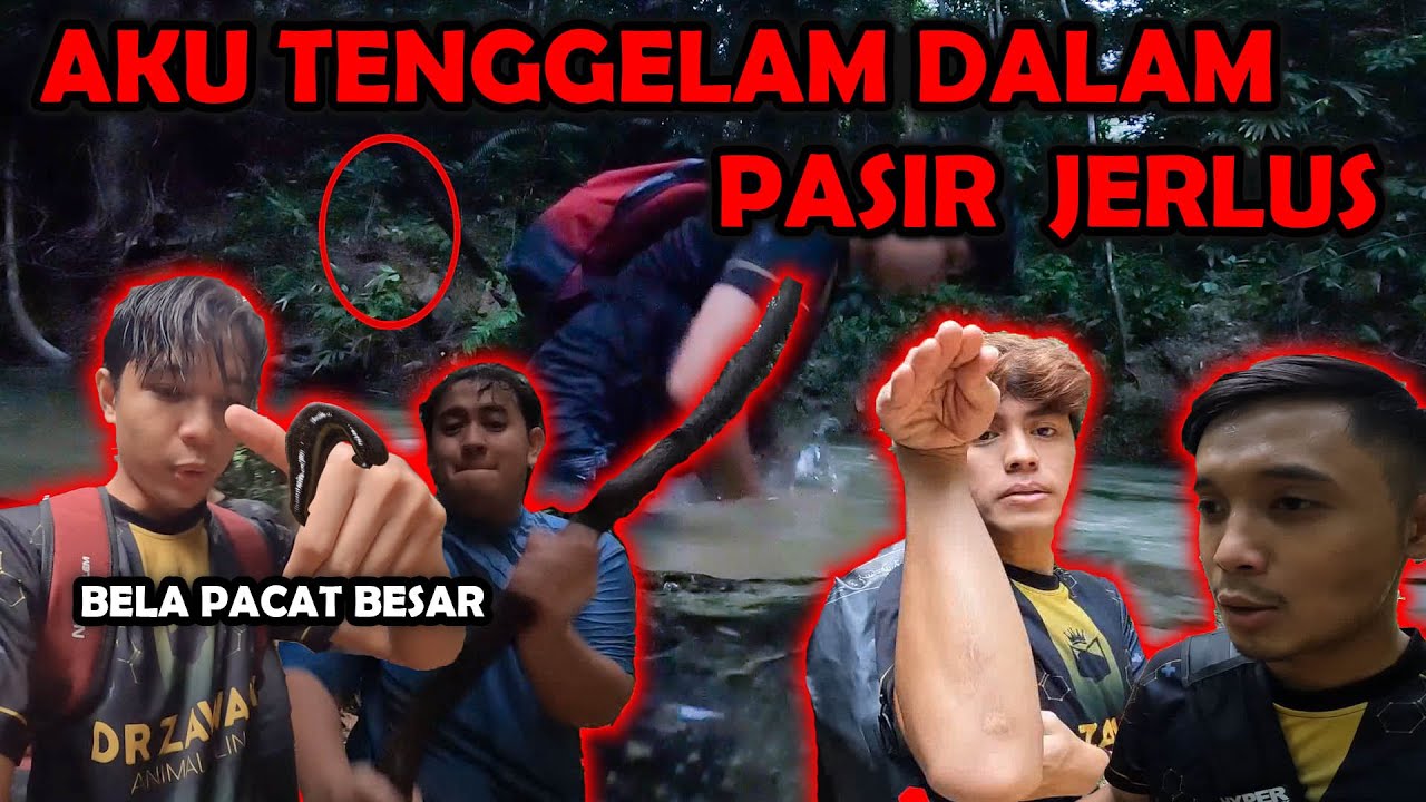 HAMPIR MATl DALAM HUTAN MlSTERI