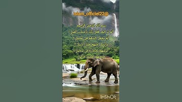 سورة الفيل بصوت رائع و مؤثر و راحة نفسية #القران #القران_الكريم #القران_نور #القران_نور_حياتي