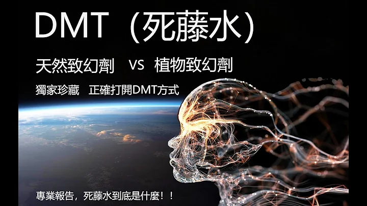 死藤水-植物迷幻劑VS松果體-天然迷幻劑 - 天天要聞