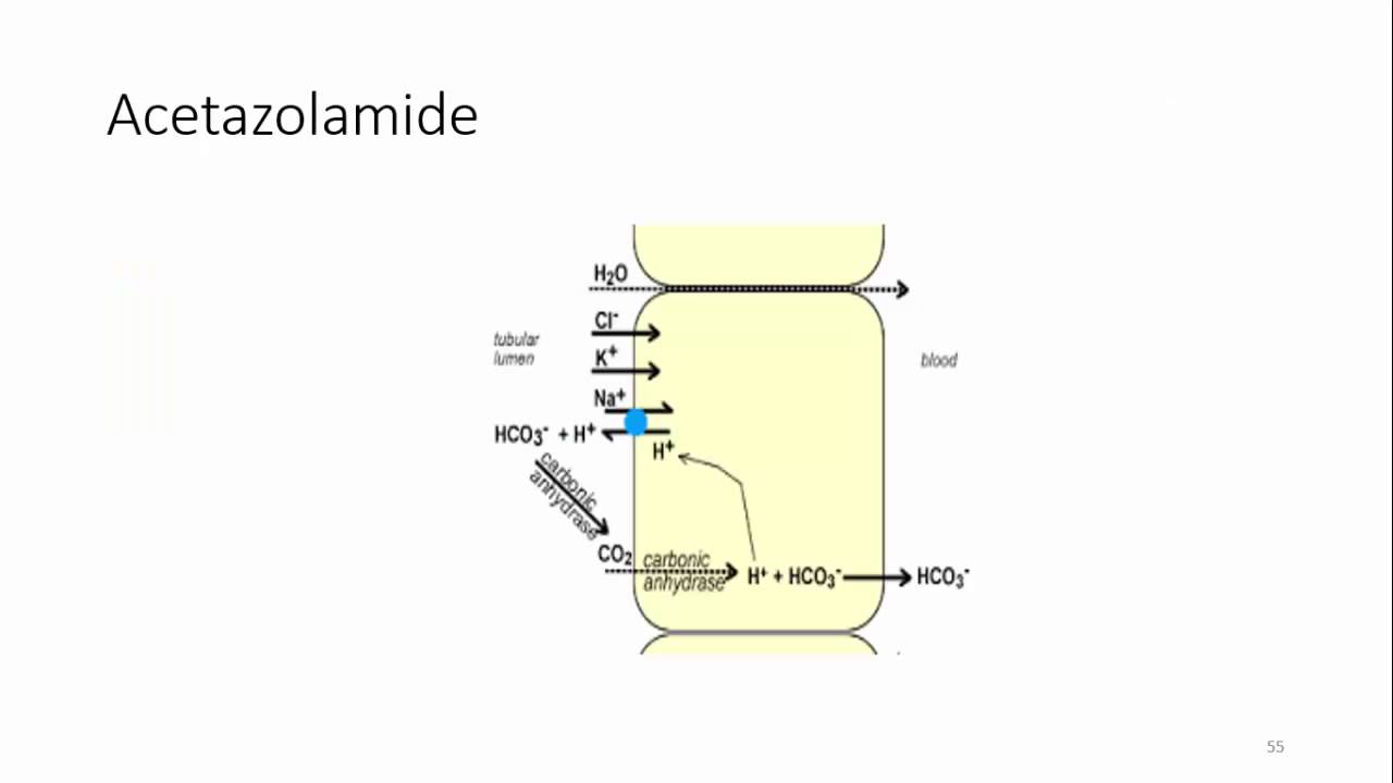 Đọc khí máu động mạch Phần 2 (Blood gas analysis)