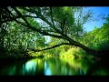 تلاوات رائعه بصوت القارىء سلمان العتيبي