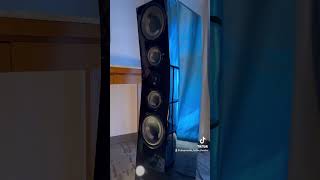NEW SVS Ultra Evolution Pinnacle Speakers DEMO! #demo #bass #hifi #stereophile #audiophile #stereo