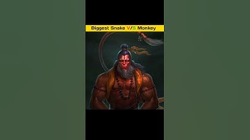 Monkey vs Snake fight to the death #viral #shorts #ytshorts