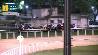 Vidéo de la course PMU PREMIO EMERSON