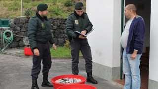 GNR apreende pescado e entrega a IPSS