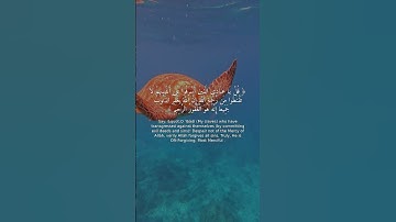 آية من سورة الزمر تريح قلبك! 🎧 تلاوة خاشعة