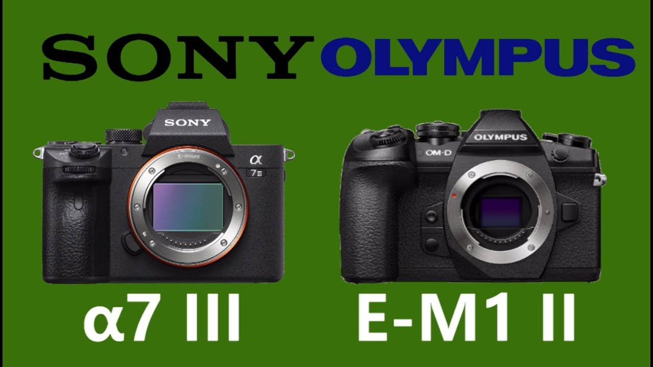 SONY a7 III vs OLYMPUS OMD EM1 Mark II YouTube