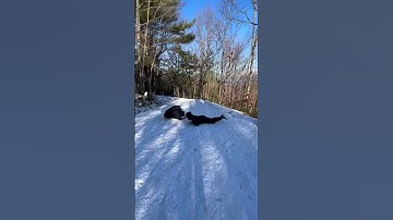 Thumbnail of Five Miles West - Out Now
