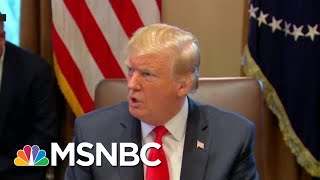 A Donald Trump History Lesson | All In | MSNBC