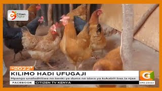 Wakulima katika kaunti ya Taita Taveta wageukia ufugaji wa kisasa