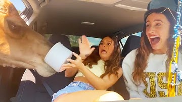 Epic Fails Only 😂 Try Not to Laugh Challenge