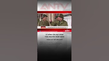 Lũ sông Cầu đạt đỉnh 29,9m, Thái Nguyên ngập nặng #antv #shorts #lulut
