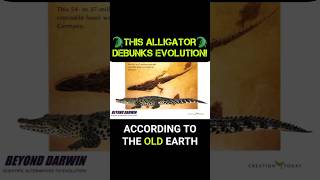 This ALLIGATOR Debunks Evolution!???????? #youtubeshorts #shortvideo #bible #christianity #evolution