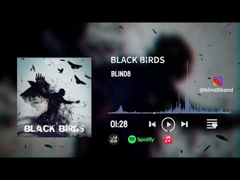 Black Birds