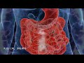 Music For Constipation Relief(8D AUDIO), Stomach & Intestine Treatment - Digestion Enhancement )